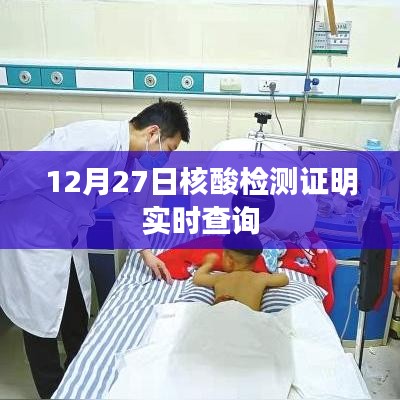 12月27日核酸檢測(cè)結(jié)果實(shí)時(shí)查詢系統(tǒng)