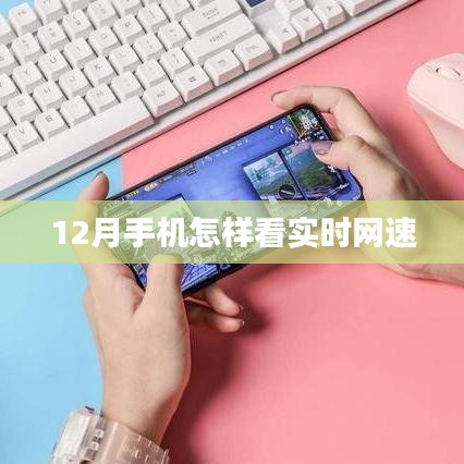12月手機網(wǎng)速監(jiān)控，實時查看網(wǎng)速攻略