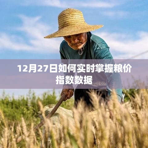 12月27日掌握實時糧價指數(shù)數(shù)據(jù)的方法