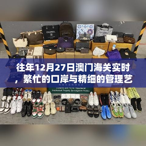 澳門口岸繁忙背后的精細(xì)管理藝術(shù)，海關(guān)實(shí)時(shí)紀(jì)實(shí)