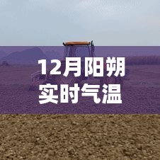 陽(yáng)朔實(shí)時(shí)氣溫報(bào)告，探尋溫暖時(shí)光