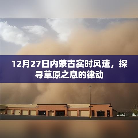 2024年12月30日 第8頁