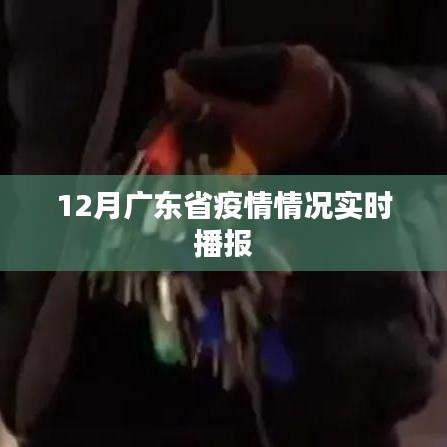 廣東疫情實(shí)時(shí)播報(bào)，最新數(shù)據(jù)解讀
