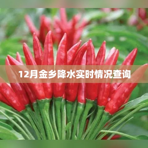 金鄉(xiāng)實(shí)時(shí)降水查詢報(bào)告