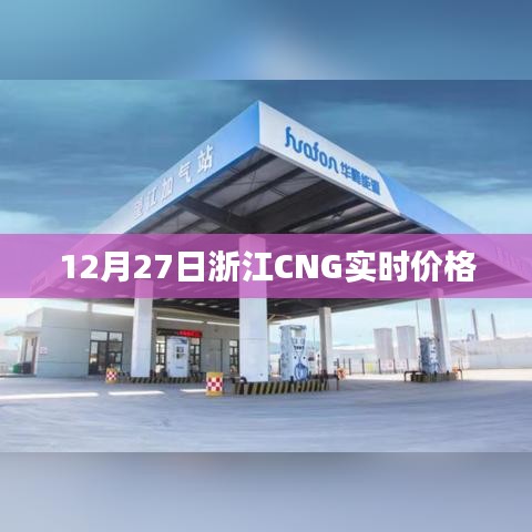 浙江CNG實(shí)時(shí)價(jià)格走勢分析（最新數(shù)據(jù)）