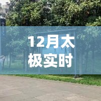 太極實時單，12月實戰(zhàn)體驗分享