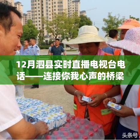 泗縣直播電視臺(tái)電話，連接您我心聲的通信橋梁