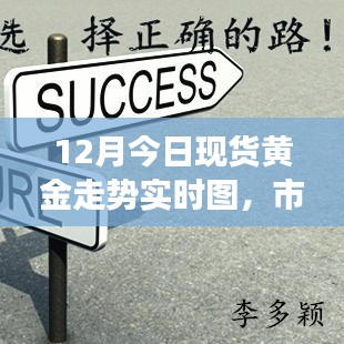 黃金走勢實(shí)時(shí)圖解析，市場分析與展望