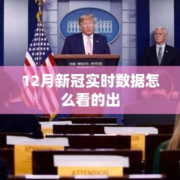 12月新冠實時數(shù)據(jù)解析指南