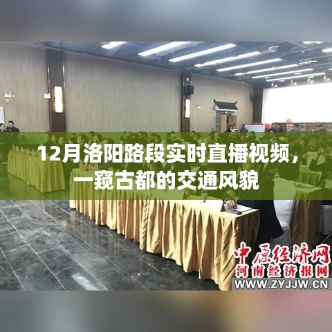 洛陽路段實時直播，古都交通風貌一瞥