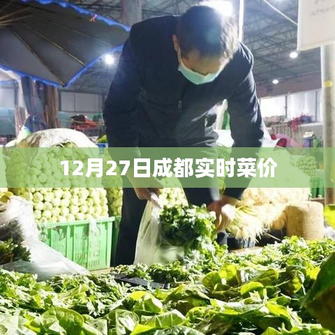 成都最新菜價，12月27日實(shí)時更新