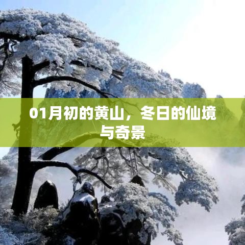 鳥(niǎo)面鵠形 第2頁(yè)