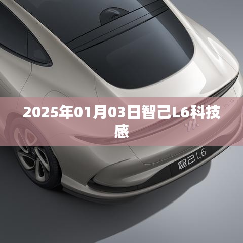 生張熟魏 第2頁(yè)