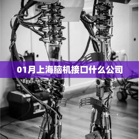 上海腦機(jī)接口領(lǐng)先企業(yè)一覽