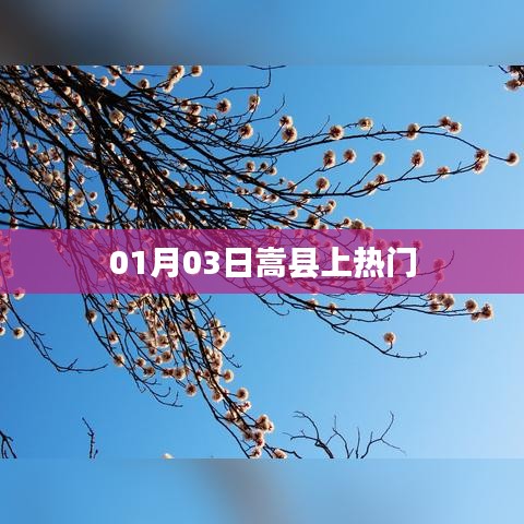 嵩縣上熱搜，最新消息揭秘！