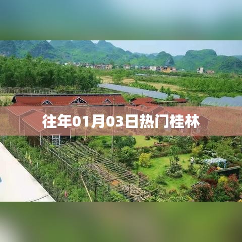 桂林歷年元旦后熱門活動回顧