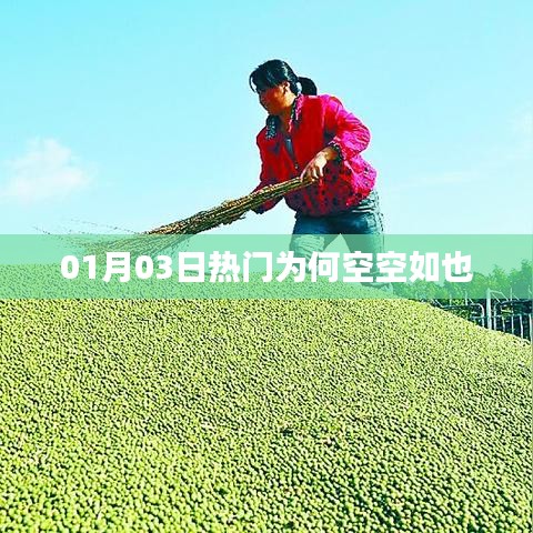 01月03日熱門(mén)為何無(wú)內(nèi)容展示？
