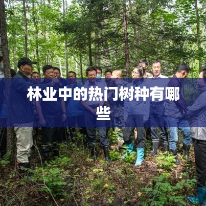 林業(yè)熱門樹種簡介