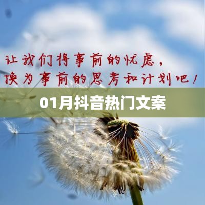 抖音熱門文案精選，創(chuàng)意文案一網(wǎng)打盡！