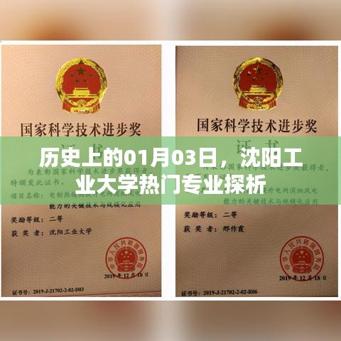 沈陽工業(yè)大學(xué)熱門專業(yè)歷史探析，聚焦一月三日