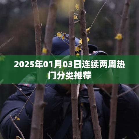 連續(xù)兩周熱門分類推薦，2025年最新動(dòng)態(tài)