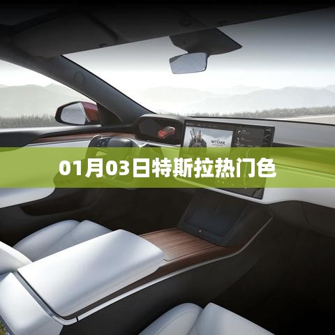 特斯拉熱門色概覽 01月03日新動態(tài)