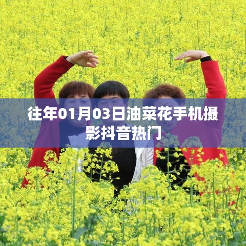 油菜花手機攝影抖音熱門作品欣賞