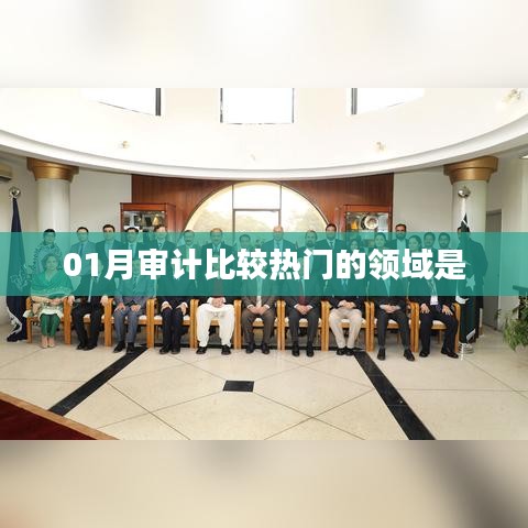 01月審計(jì)熱門(mén)領(lǐng)域概覽