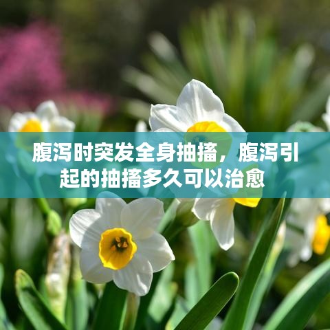 腹瀉時突發(fā)全身抽搐，腹瀉引起的抽搐多久可以治愈