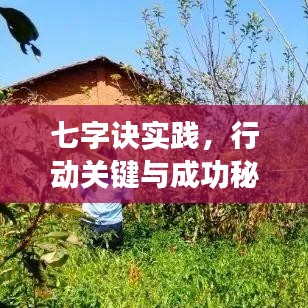 七字訣實踐，行動關鍵與成功秘訣