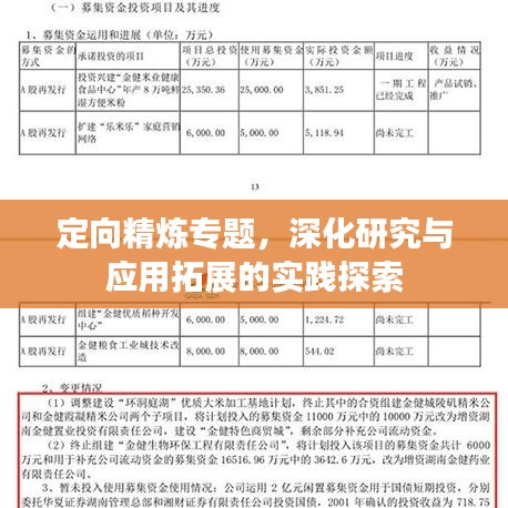 定向精煉專題，深化研究與應(yīng)用拓展的實(shí)踐探索