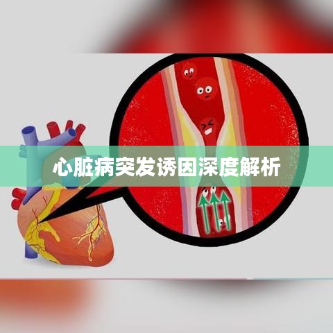 心臟病突發(fā)誘因深度解析