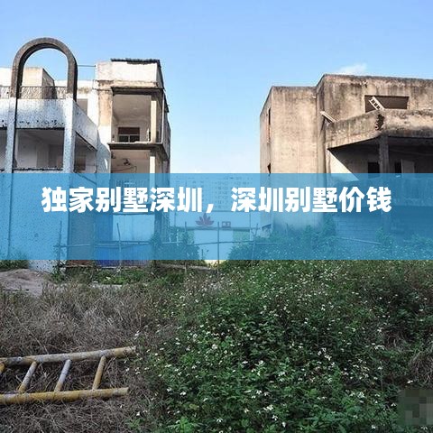 獨(dú)家別墅深圳，深圳別墅價(jià)錢