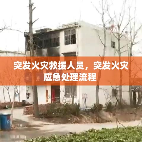 犯而不校 第2頁(yè)