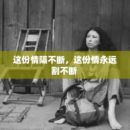 這份情隔不斷，這份情永遠割不斷