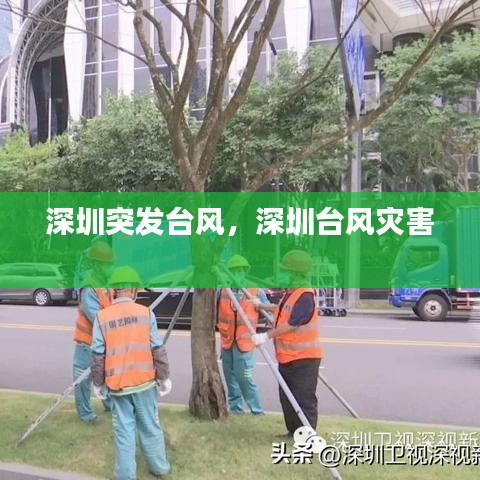 深圳突發(fā)臺風，深圳臺風災害