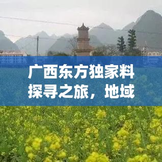 廣西東方獨(dú)家料探尋之旅，地域魅力與文化底蘊(yùn)揭秘