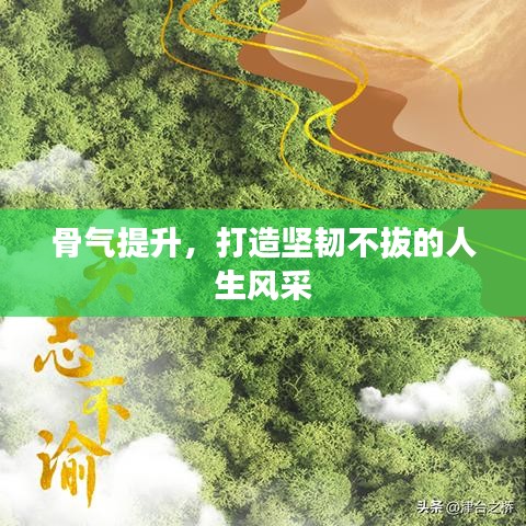 骨氣提升，打造堅(jiān)韌不拔的人生風(fēng)采