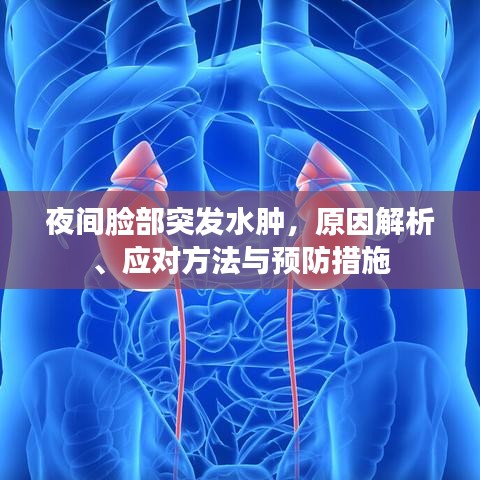 夜間臉部突發(fā)水腫，原因解析、應(yīng)對方法與預(yù)防措施
