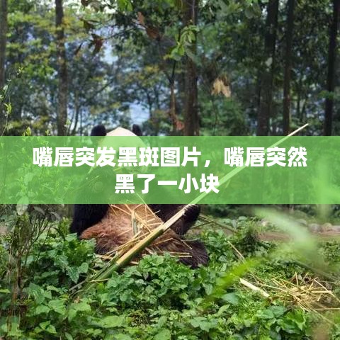 嘴唇突發(fā)黑斑圖片，嘴唇突然黑了一小塊