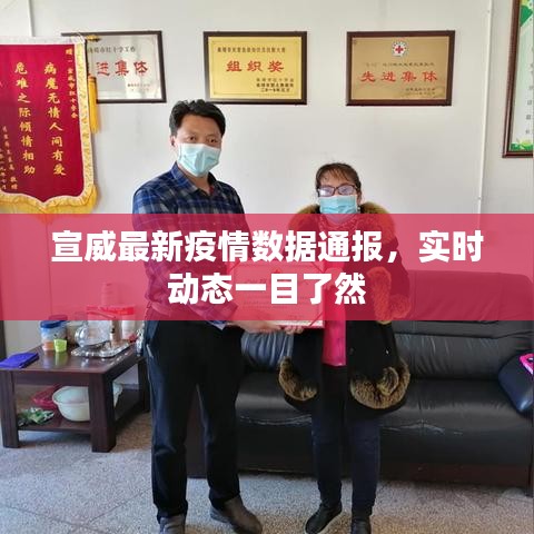宣威最新疫情數(shù)據(jù)通報，實時動態(tài)一目了然