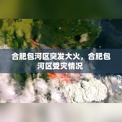 百不得一 第2頁