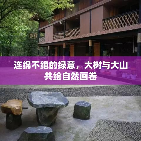 連綿不絕的綠意，大樹與大山共繪自然畫卷
