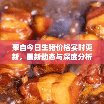 蒙自今日生豬價格實(shí)時更新，最新動態(tài)與深度分析