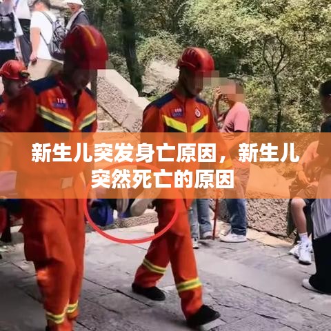 新生兒突發(fā)身亡原因，新生兒突然死亡的原因