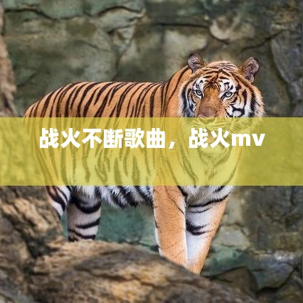 戰(zhàn)火不斷歌曲，戰(zhàn)火mv