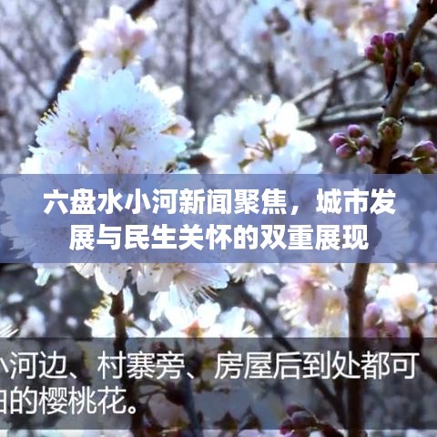 六盤(pán)水小河新聞動(dòng)態(tài)，城市發(fā)展與民生關(guān)懷同步展現(xiàn)