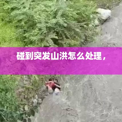 突發(fā)山洪應(yīng)對指南，處理與自救方法