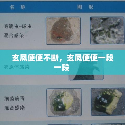 玄鳳便便不斷，玄鳳便便一段一段 