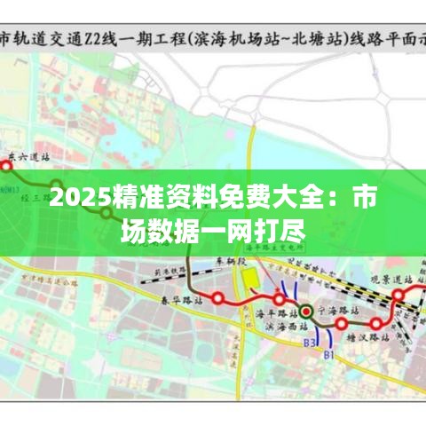 2025精準(zhǔn)資料免費大全：市場數(shù)據(jù)一網(wǎng)打盡